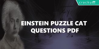 Einstein Puzzle CAT Questions PDF