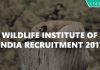 Wildlife Institute of India Recruitment 2017