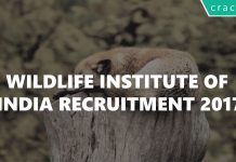 Wildlife Institute of India Recruitment 2017