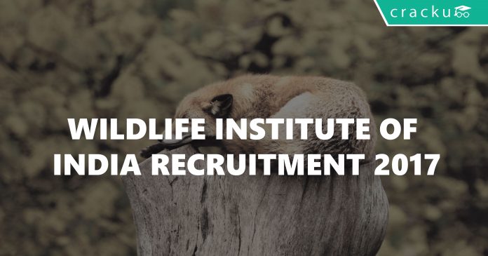 Wildlife Institute of India Recruitment 2017