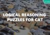 logical reasoning puzzles for cat