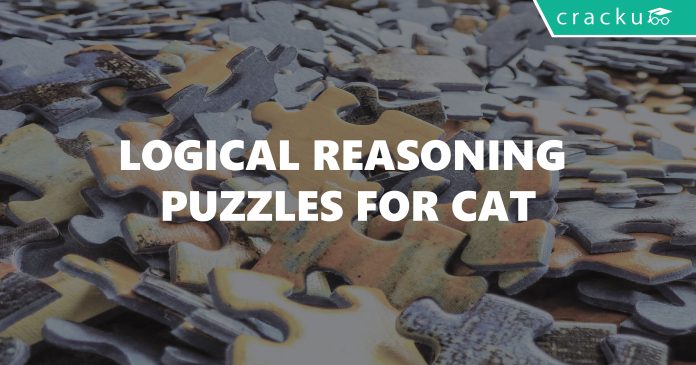 logical reasoning puzzles for cat