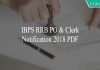 IBPS RRB Officer PO & Clerk office assistant, officer scale-1, scale-2 & scale-3 notification PDF