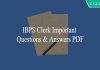 IBPS Clerk Important Questions and Answers PDF