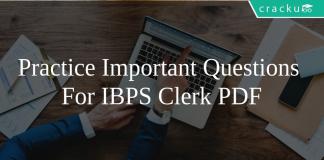 Practice Important Questions For IBPS Clerk PDF