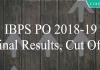 IBPS PO 2019 final results