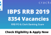 IBPS RRB Notification 2019-20 PDF