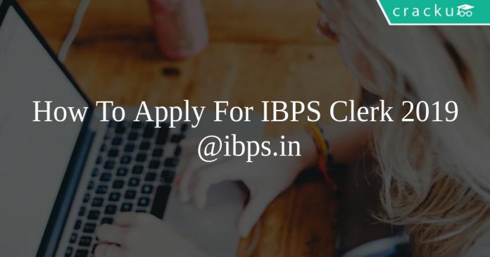 How To Apply For IBPS Clerk 2019 @ibps.in