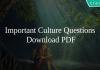 Important Culture Questions