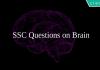 SSC Questions on Brain