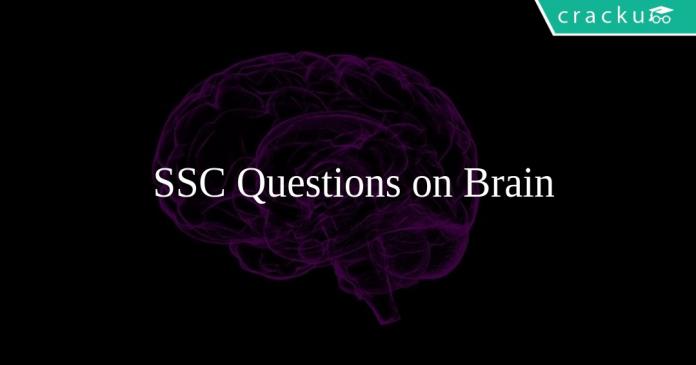 SSC Questions on Brain
