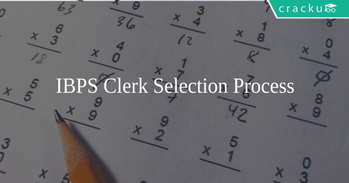 IBPS Clerk Selection Process