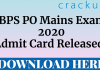 ibps po 2020 mains admit card out