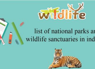 list of important national parks in india