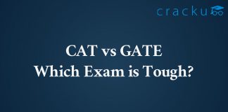 Cat Vs Gate