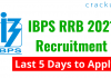 Last 5 Days to Apply for IBPS RRB Recruitment 2021