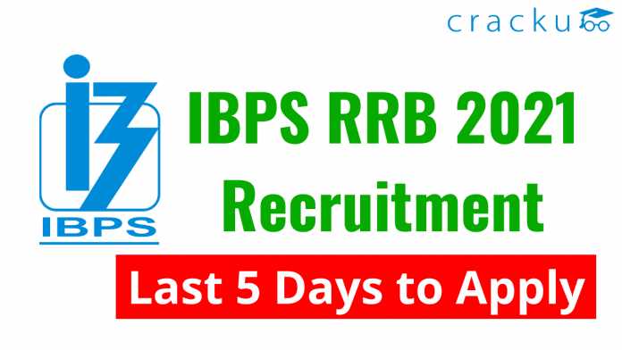 Last 5 Days to Apply for IBPS RRB Recruitment 2021
