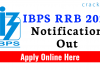 IBPS RRB 2021 Notification Out