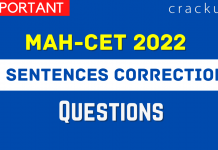 Sentence Correction Questions PDF