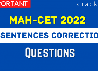 Sentence Correction Questions PDF