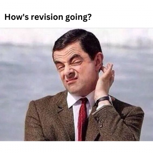 meme on not revising
