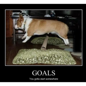 Funny meme on Setting Realistic Goals