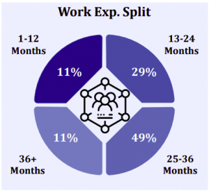 Work Experience split