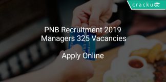 PNB Recruitment 2019 Managers 325 Vacancies