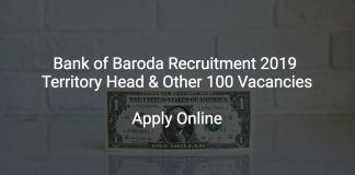 Bank of Baroda Recruitment 2019 Sr Relationship Manager & Other 100 Vacancies