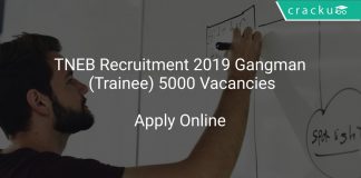TNEB Recruitment 2019 Gangman (Trainee) 5000 Vacancies