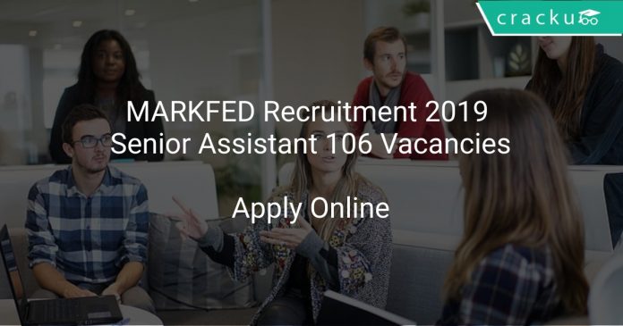 MARKFED Recruitment 2019 Senior Assistant 106 Vacancies