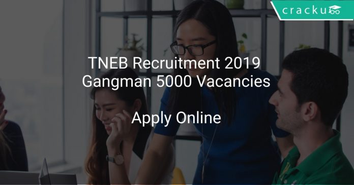 TNEB Recruitment 2019 Gangman 5000 Vacancies