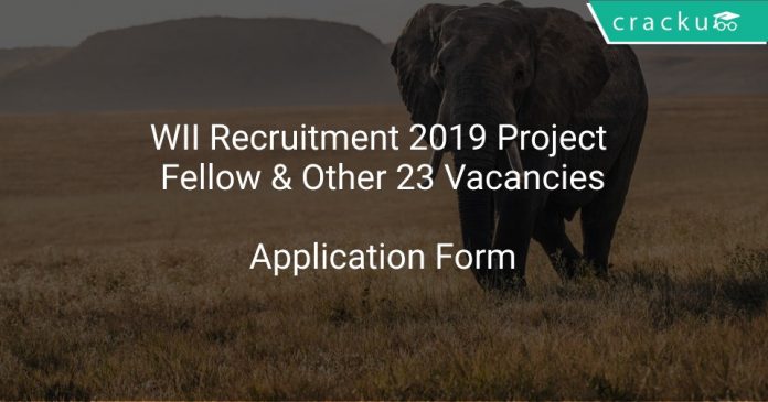 WII Recruitment 2019 Project Fellow & Other 23 Vacancies