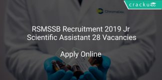 RSMSSB Recruitment 2019 Jr Scientific Assistant 28 Vacancies