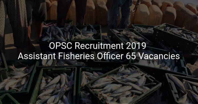 OPSC Recruitment 2019 Assistant Fisheries Officer 65 Vacancies
