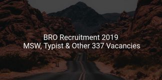 BRO Recruitment 2019 Multi Skilled Worker, Typist & Other 337 Vacancies