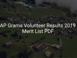 AP Grama Volunteer Results 2019 Released Merit List PDF Download