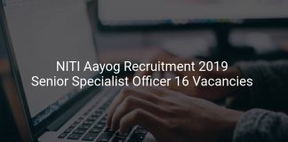 NITI Aayog Recruitment 2019 Senior Specialist Officer 16 Vacancies