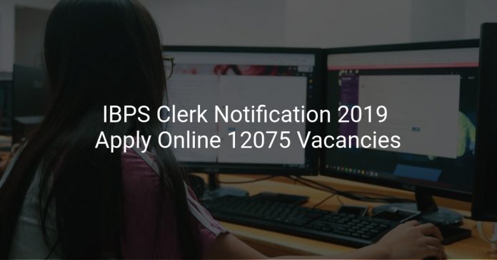 IBPS Clerk Notification 2019 Apply Online 12075 Vacancies
