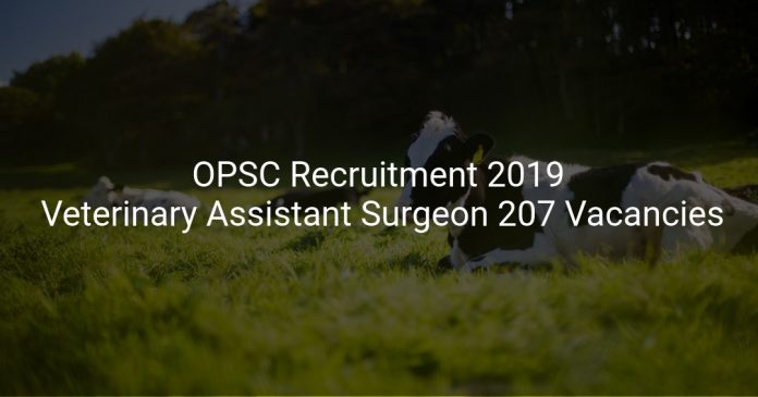 OPSC Recruitment 2019 Veterinary Assistant Surgeon 207 Vacancies