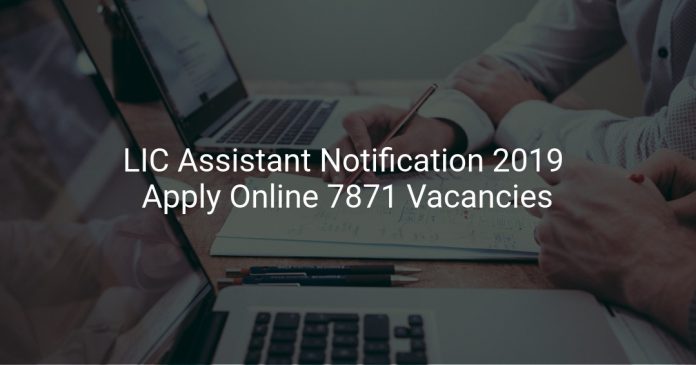 LIC Assistant Notification 2019 Apply Online 7871 Vacancies