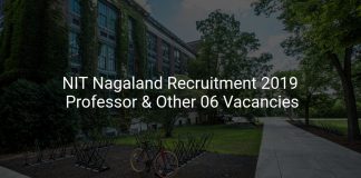 NIT Nagaland Recruitment 2019