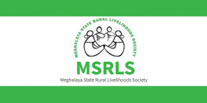 MSRLS Logo