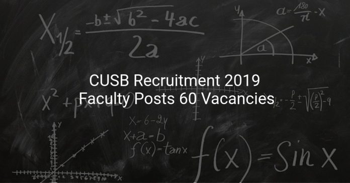 CUSB Recruitment 2019
