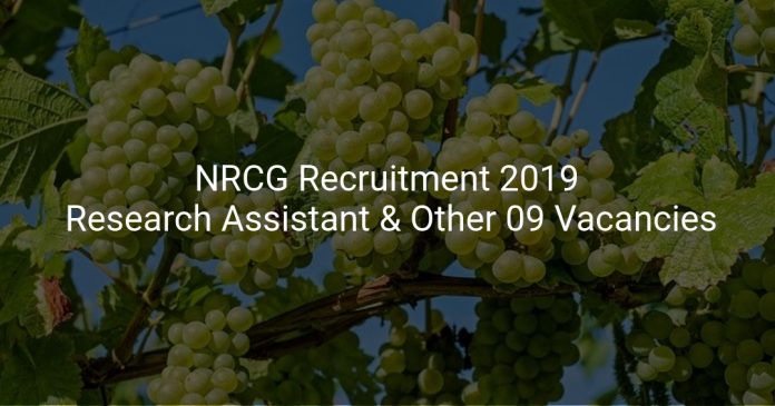 NRCG Recruitment 2019
