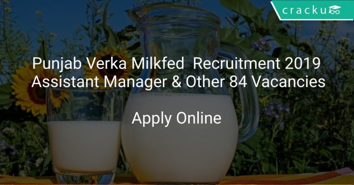 Punjab Verka Milkfed Recruitment 2019 Assistant Manager & Other 84 Vacancies