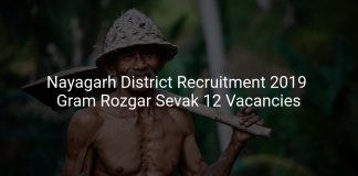 Nayagarh District Recruitment 2019