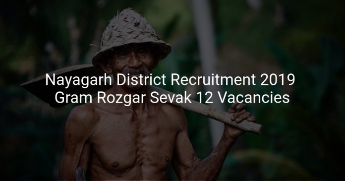 Nayagarh District Recruitment 2019