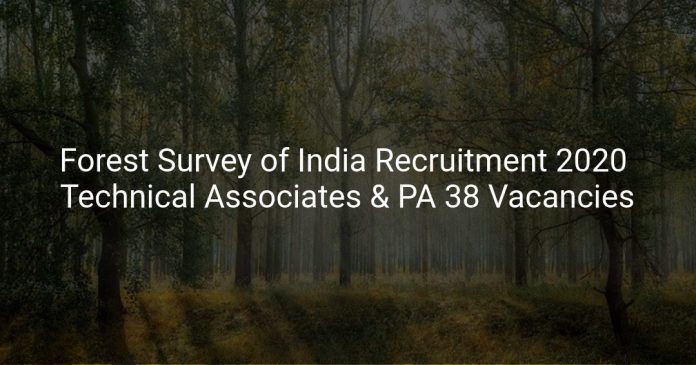 Forest Survey of India Recruitment 2020