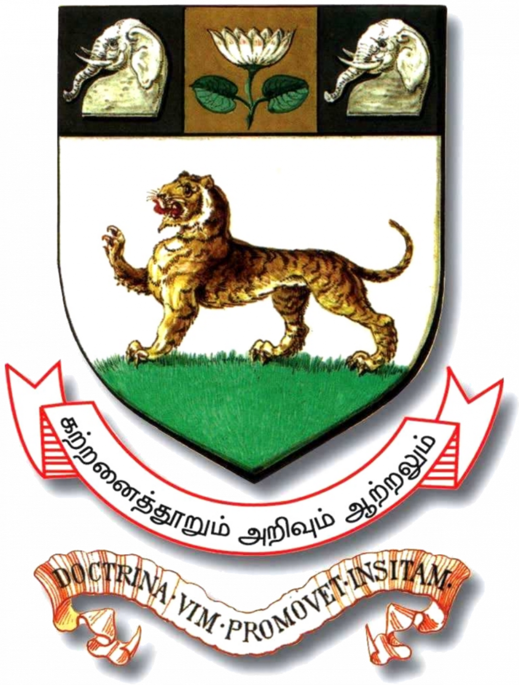 University Of Madras Logo Latest Govt Jobs 2021 Government Job